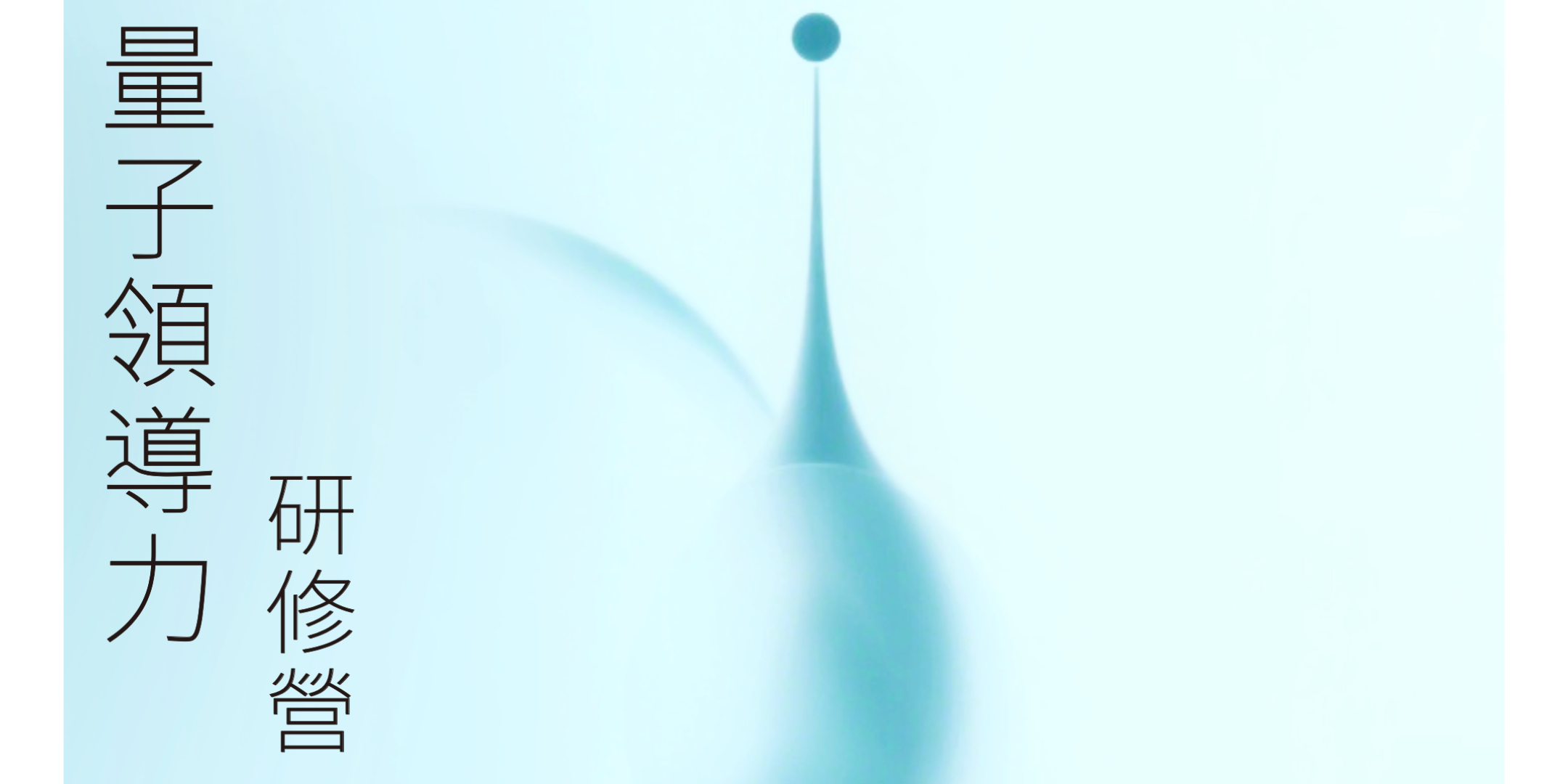 Quantum Leadership Programme