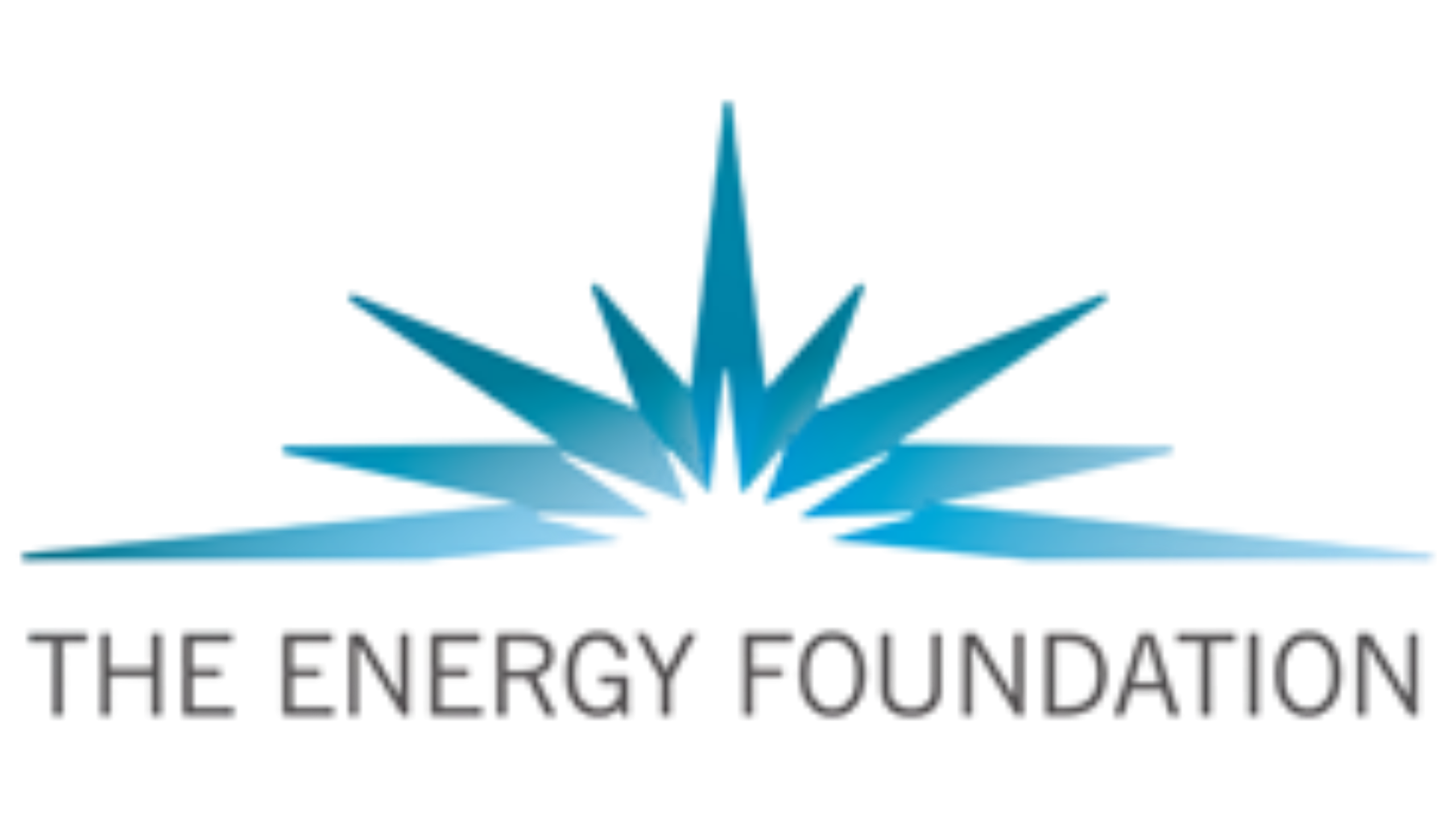 The Energy Foundation China