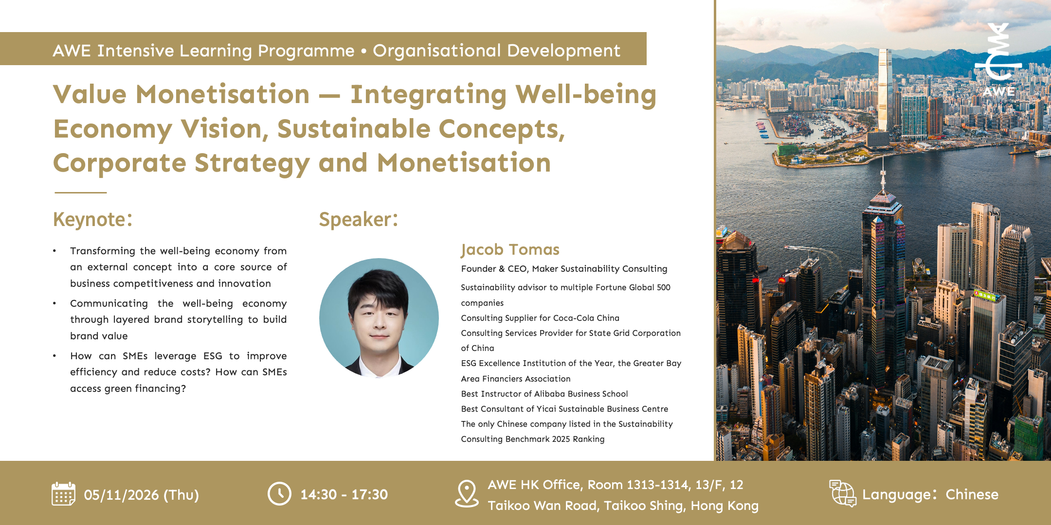 Value Monetisation — Integrating Well-being Economy Vision, Sustainable Concepts, Corporate Strategy and Monetisation